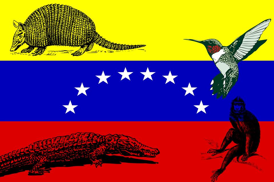 10 animales en peligro de extincion en venezuela