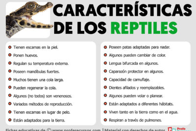 10 caracteristicas que distinguen a los reptiles