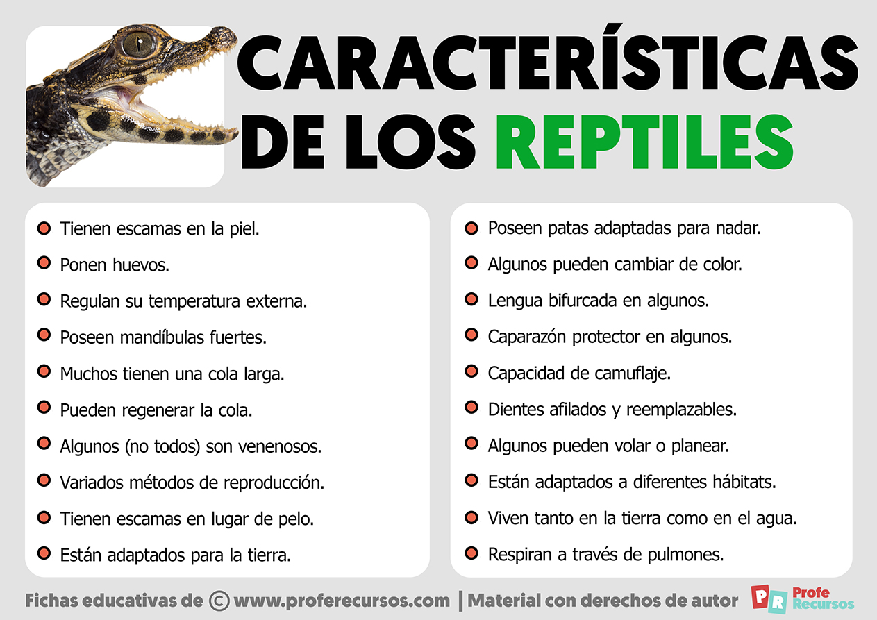 10 caracteristicas que distinguen a los reptiles