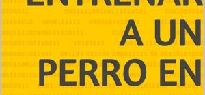 10 pasos para entrenar al perro