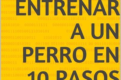 10 pasos para entrenar al perro