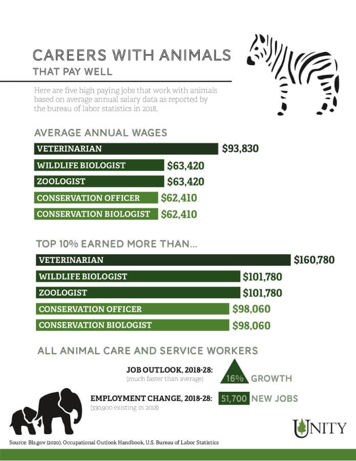 30 jobs con animales oportunidades para la carrera