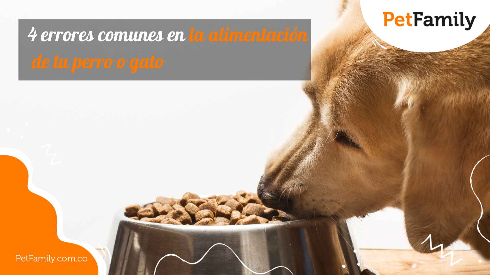 5 errores comunes que comemos con los perros y gatos