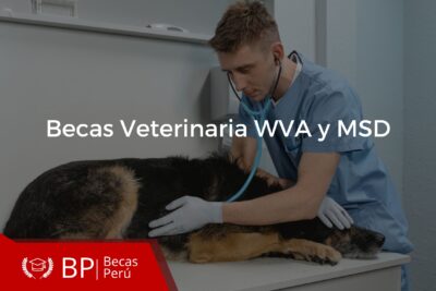 80 becas para estudiantes de veterinaria de america latina