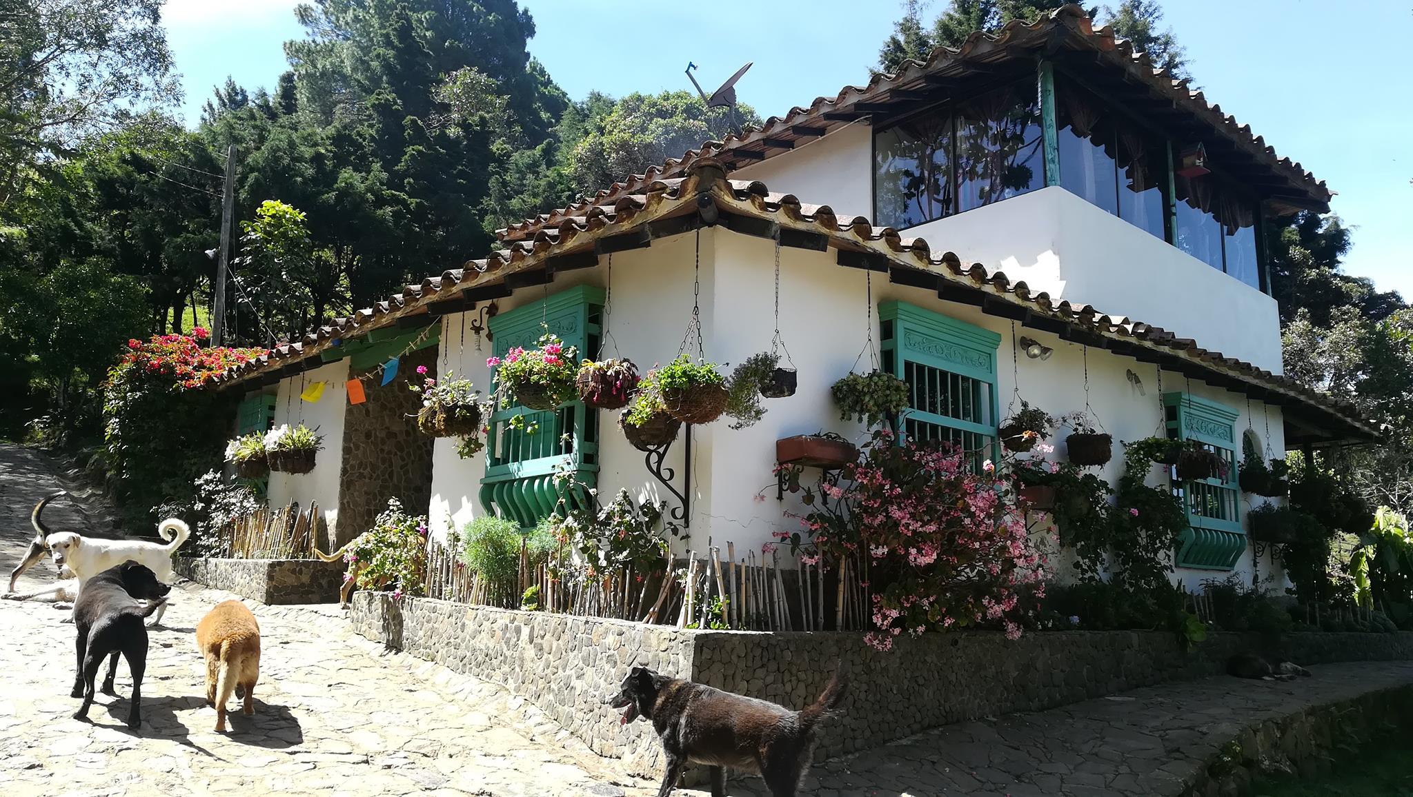 Ayúdanos a Ayudar Dejando huella