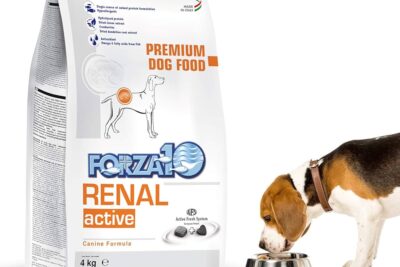 alimentacion para perros con insuficiencia renal