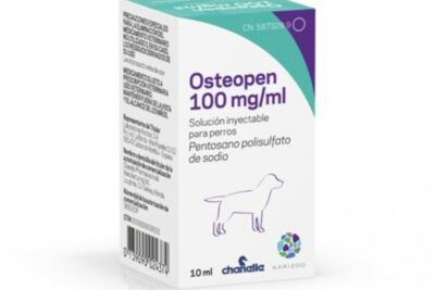 analgesicos para perros con artritis