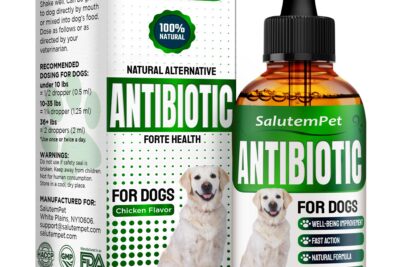 antibioticos para perros