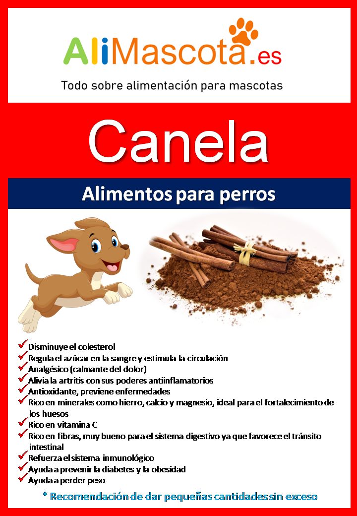 beneficios de la canela para los perros