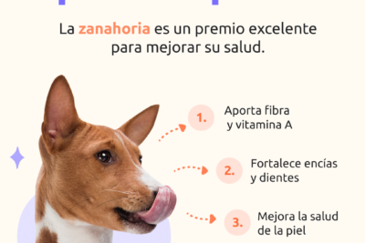 beneficios de la zanahoria para perros