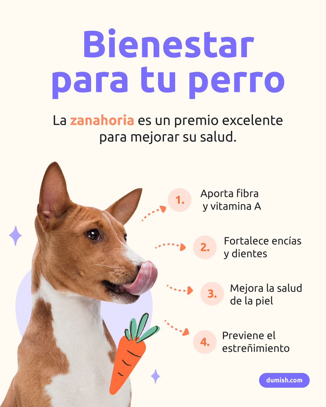 beneficios de la zanahoria para perros