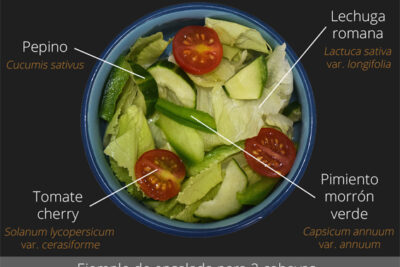 cantidad de comida diaria para las cobayas