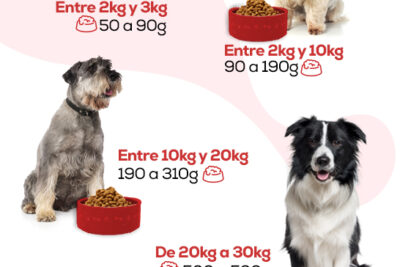 cantidad de comida para perros