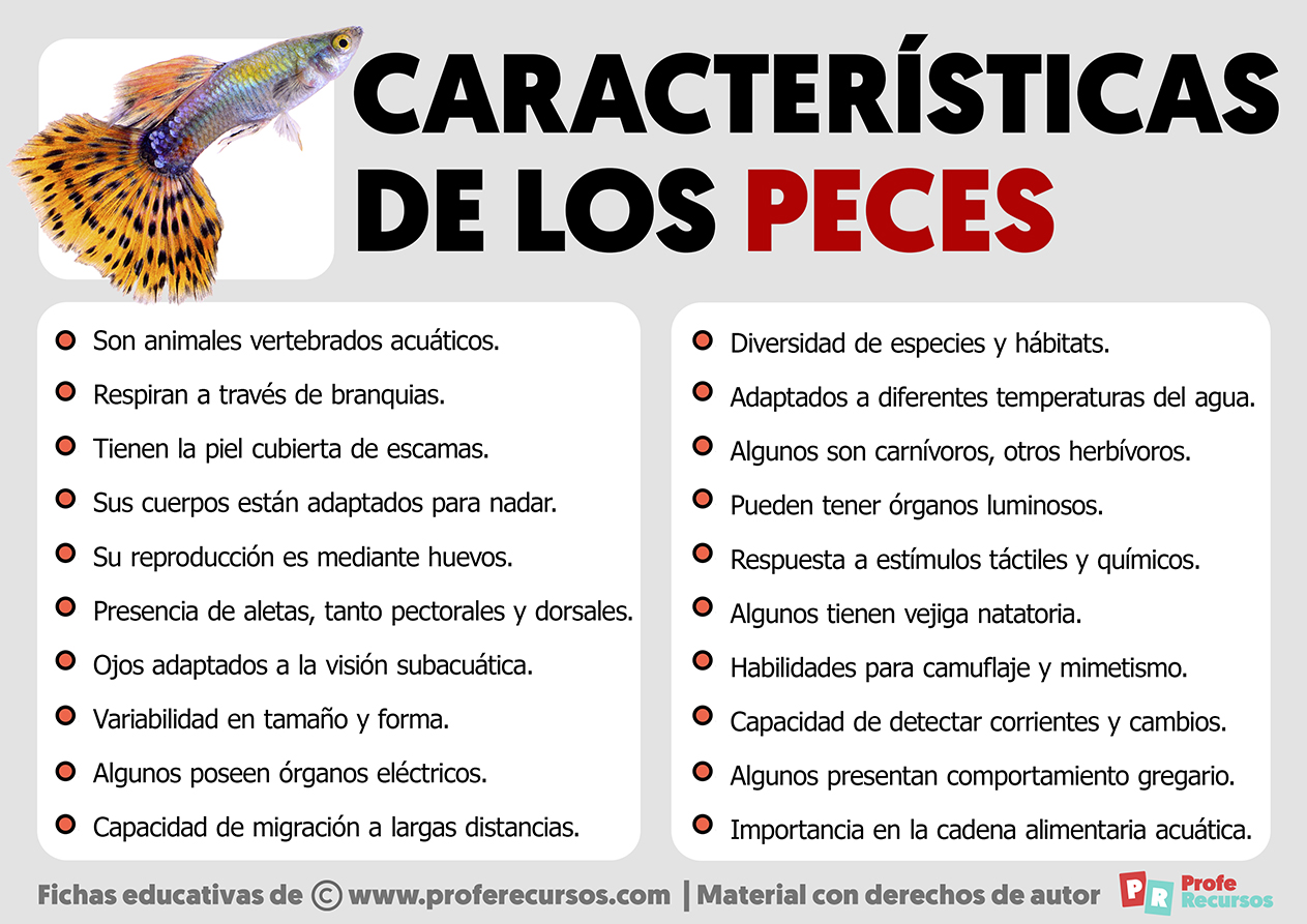 caracteristicas de los peces