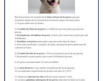 caracteristicas del perro 10 aspectos fascinantes