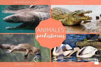 caracteristicas y ejemplos vivos y extintos de los animales prehistoricos con fotos