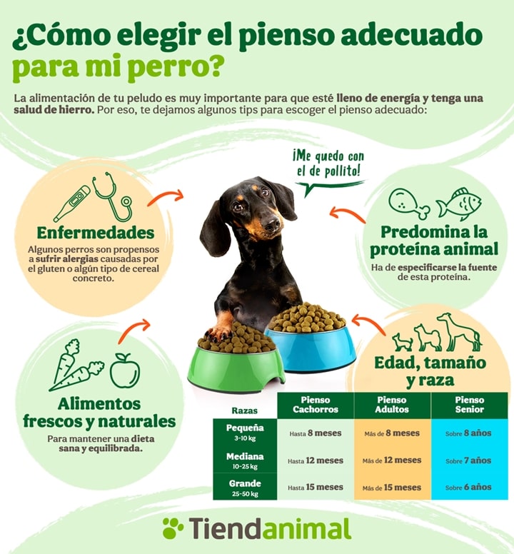 cereales adecuado para perros