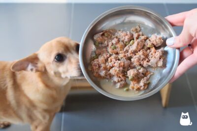 comida natural para perros