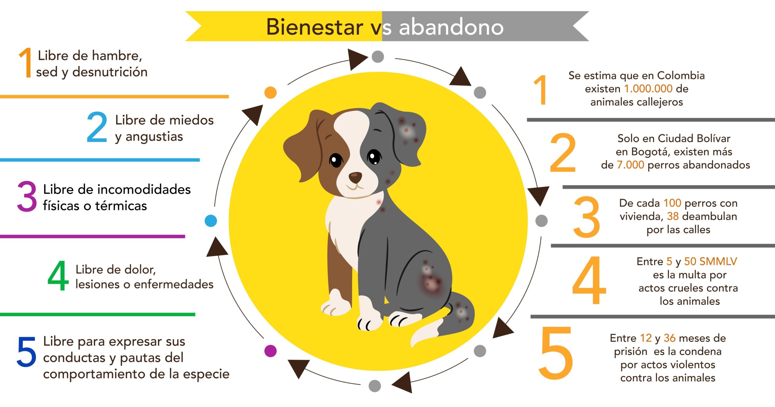 como ayudar a los perros callejeros scaled