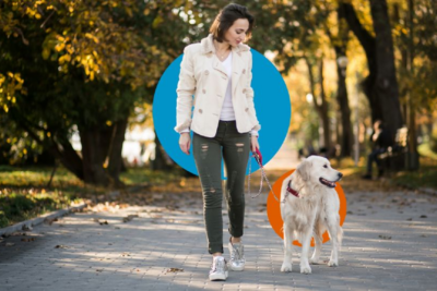 como cuidar la salud del perro al pasear