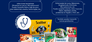 como eliminar las pulgas en cachorros