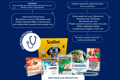 como eliminar las pulgas en cachorros