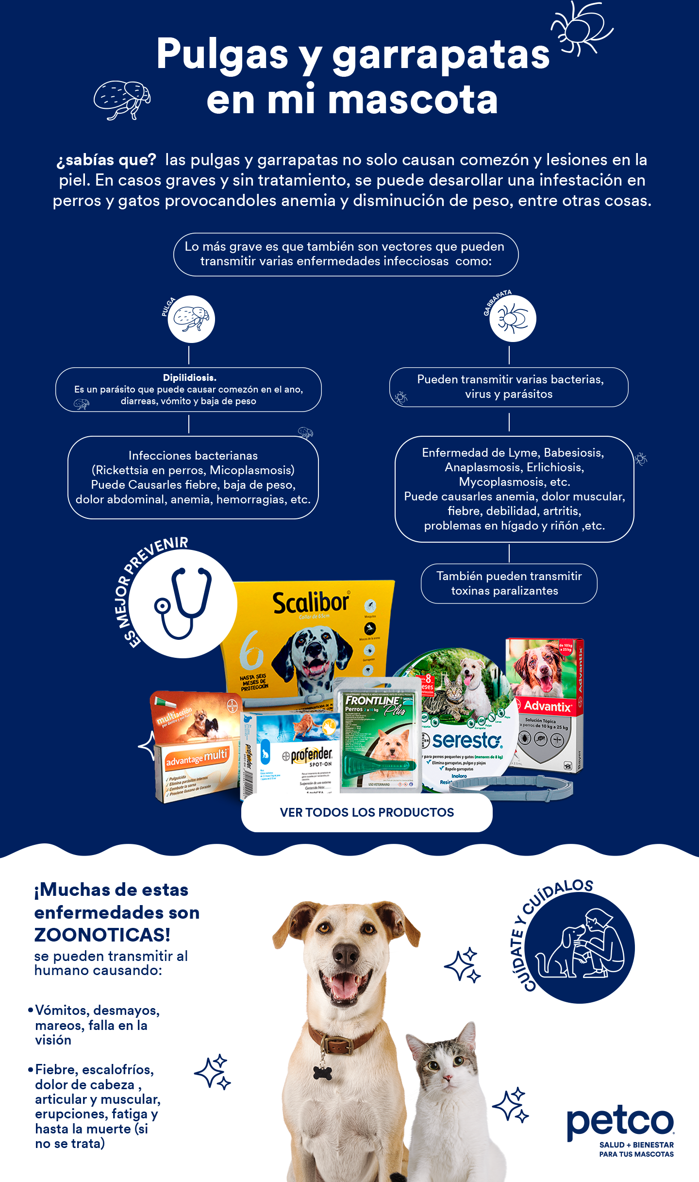 como eliminar las pulgas en cachorros