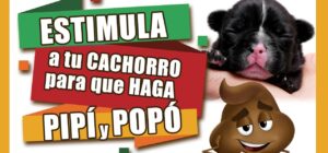 como estimular al cachorro para defecar