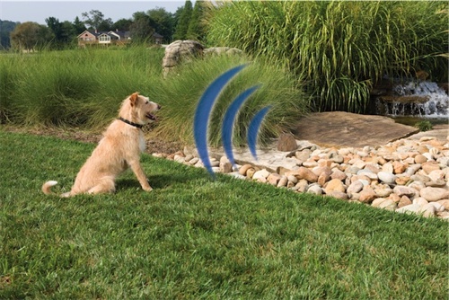 como evitar que los perros defensen el jardin