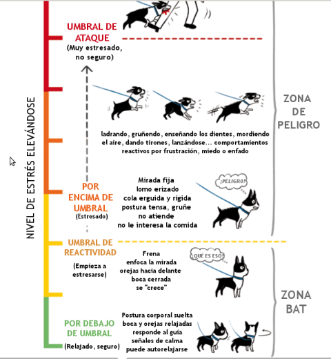 como gestionar el comportamiento del perro