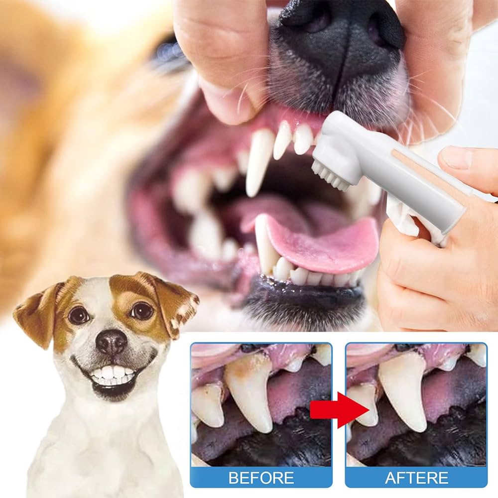 como limpiar los dientes de un perro con un cepillo y pasta dental