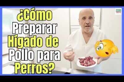 como preparar y consumir el higado de pollo para perros