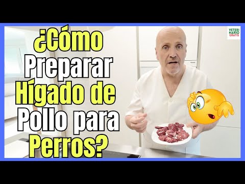 como preparar y consumir el higado de pollo para perros