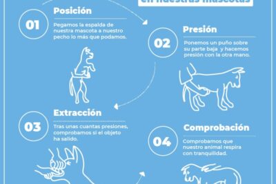 como realizar la maniobra de heimlich en perros