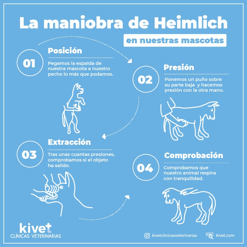 como realizar la maniobra de heimlich en perros