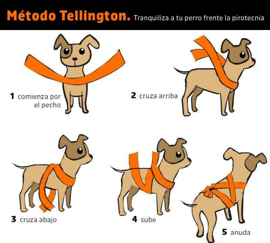 como relajar a un perro nervioso