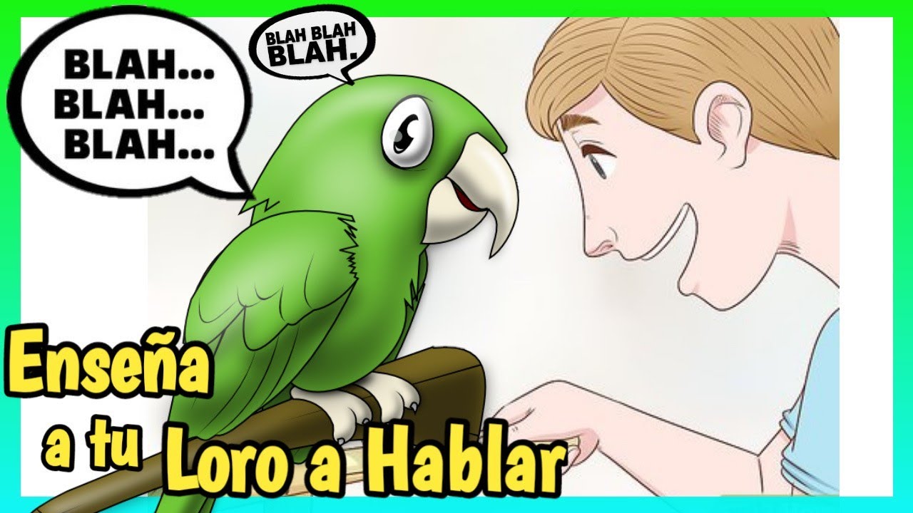 consejos para hablar a tu loro