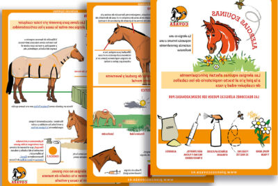 consejos para la salud del caballo