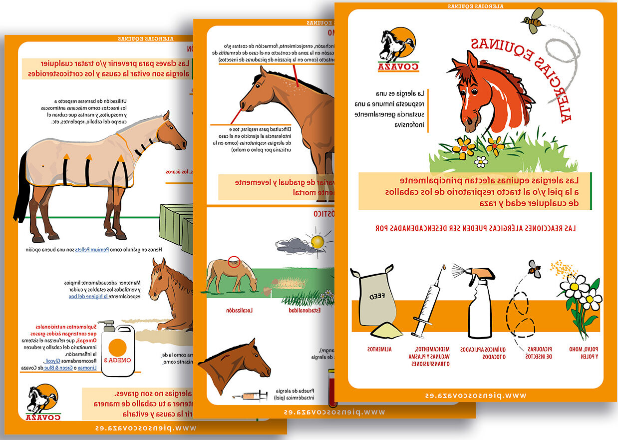 consejos para la salud del caballo