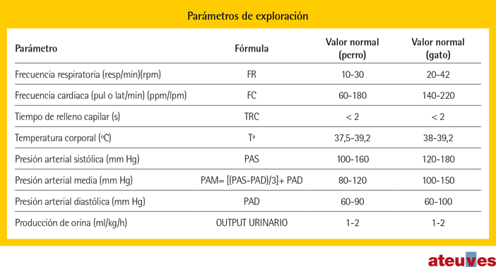 constantes vitales de un perro