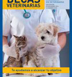 convocacion a once becas de postgrados para estudiantes de veterinaria