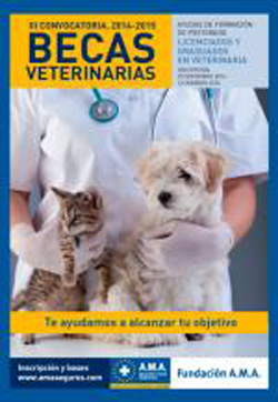 convocacion a once becas de postgrados para estudiantes de veterinaria