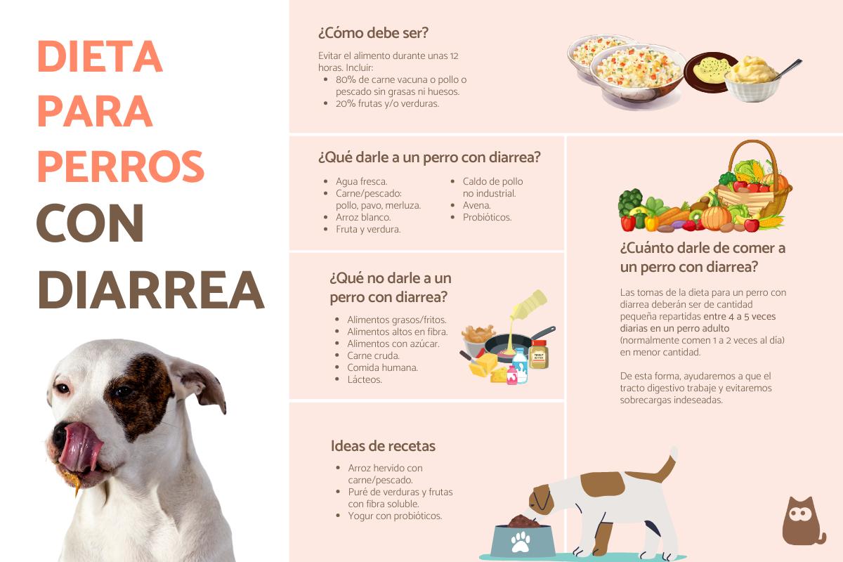 dieta blanda para perros con diarrea