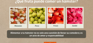 dieta de frutas y verduras para hamsteres