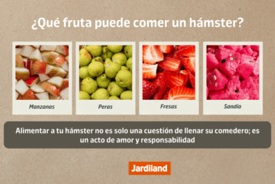 dieta de frutas y verduras para hamsteres