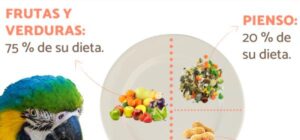 dieta de frutas y verduras para loros