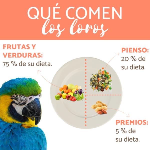 dieta de frutas y verduras para loros