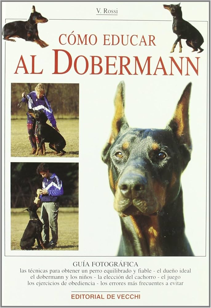 educar al doberman