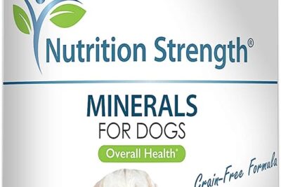 el calcio un mineral esencial para la salud del perro