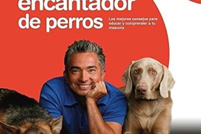 el encantador de perros la historia de un adoptador